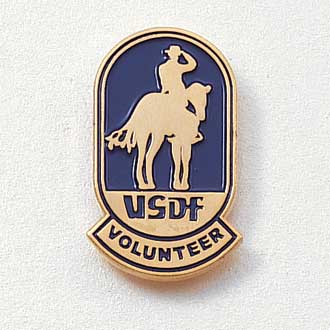 Custom Association Lapel Pin – Horse Design #563