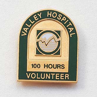 Custom Volunteer Lapel Pin – Arch Design #565