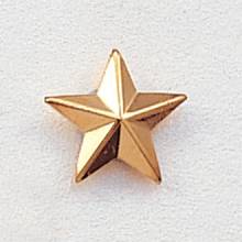 Small Beveled Star Lapel Pin #204