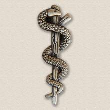 Custom Association Lapel Pin – Caduceus Design #9001