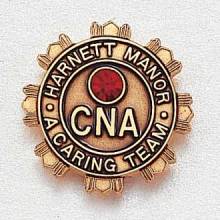 Custom Nursing Lapel Pin – CNA Design #964