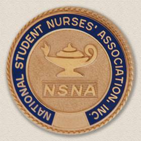 Custom Association Pin – Nursing Lamp Design #9032